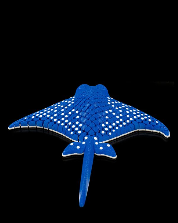 Igor, the spotted eagle ray – Image 3