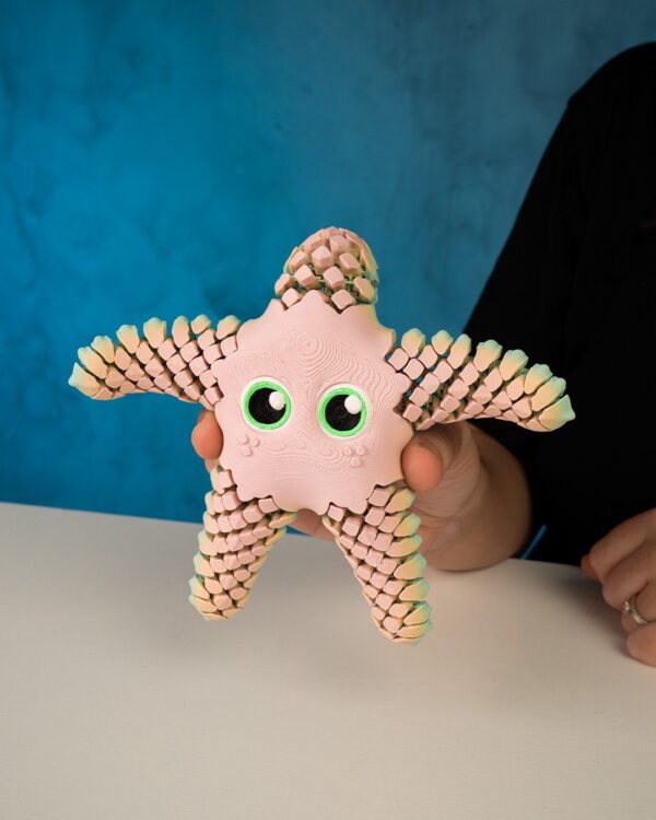 Sandy, the sea star – Image 7